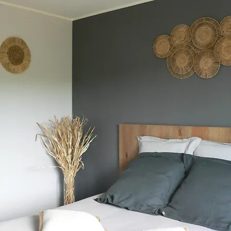 Bed & Breakfast La Petite Du Carcassonne