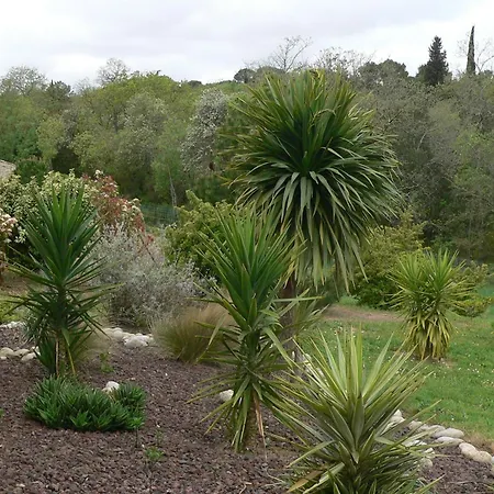 Bed & Breakfast La Petite Du 3*