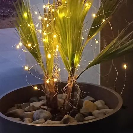 לינה וארוחת בוקר La Petite Du קרקסון
